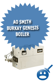 AO Smith Burkay Genesis Boiler