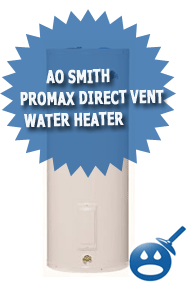 AO Smith Pro Max Direct Vent Water Heater