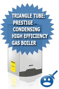 Triangle Tube: Prestige Condensing High Efficiency Gas Boiler