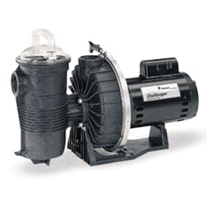 Pentair Challenger High Flow Pump