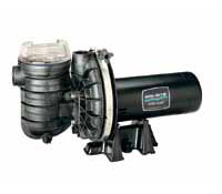 Sta Rite Dura Glass pumps