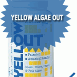 Yellow Algae Out 