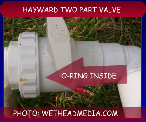 Hayward Port Valve
