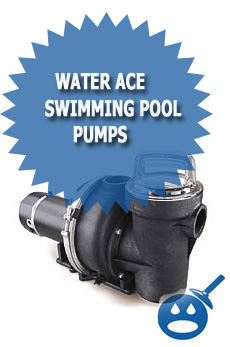 Water Ace Swimming Pool Pump