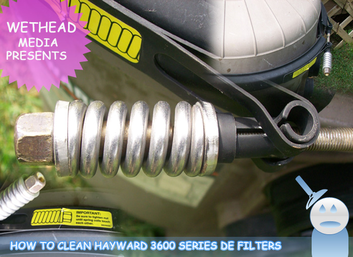 Hayward 3600 DE Filter Spring Hayward 3600 DE Filter Spring
