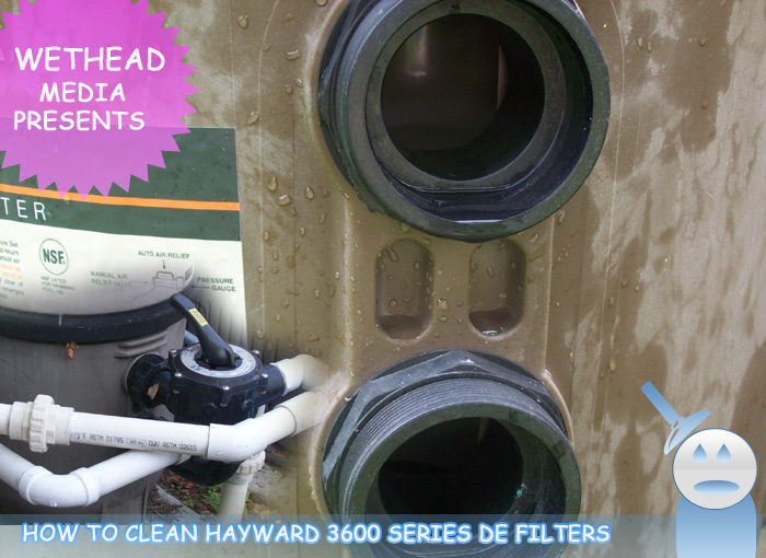 Hayward DE 3600 Pool Filter