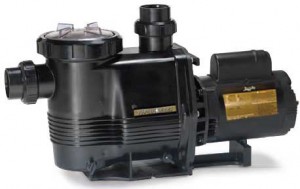 jandy plushp swimming pool pump 300x189