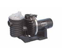 Sta Rite Duraglas II Pump