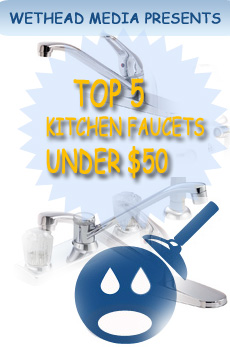 Top Five Kitchen Faucets Under 50 Dollars