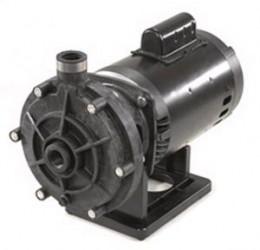 Polaris Booster Pump