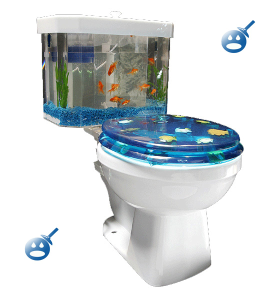 Fish N Flush Toilet Tank Aquarium