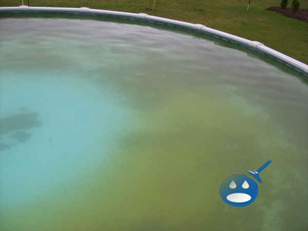 Green Swimming Pool