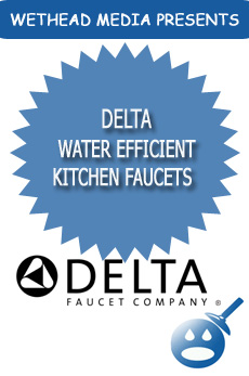 Best Delta Water Efficient Kitchen Faucets