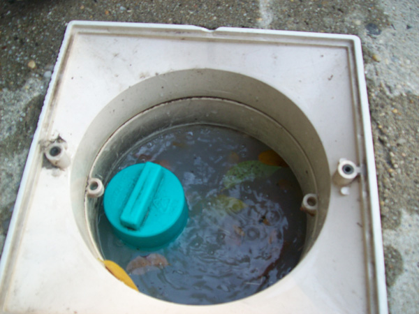 Inground Swimming Pool Skimmer Inground Swimming Pool Skimmer