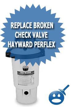 Replace Broken Check Valve Hayward Perflex