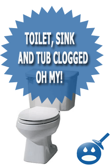 Toilet & Sink Cloggs