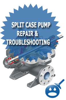Split Case Pump Repair & Troubleshooting Guide