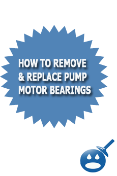 How To Remove & Replace Pump Motor Bearings