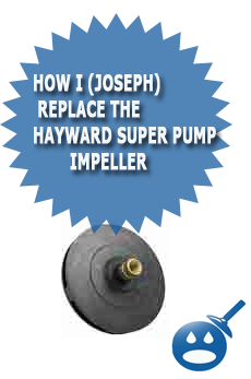 Hayward Super Pump Impeller Removed