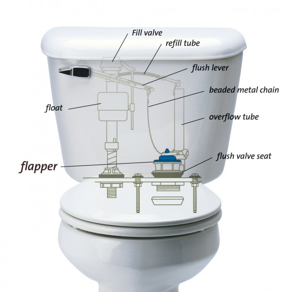 how-to-replace-a-toilet-flapper